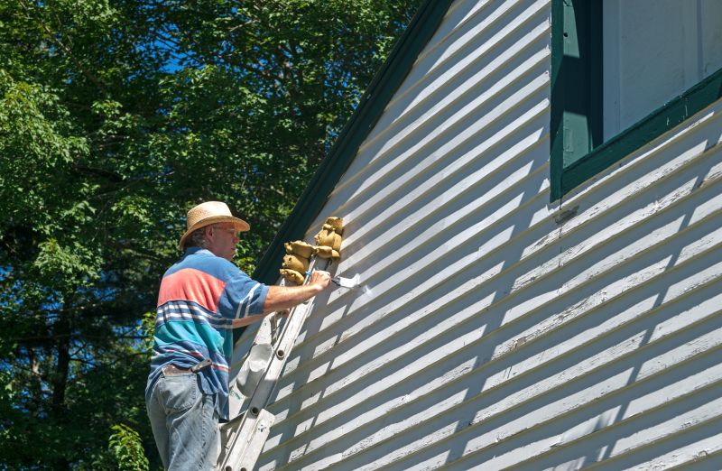 Vinyl Siding Painting in Longmont, CO